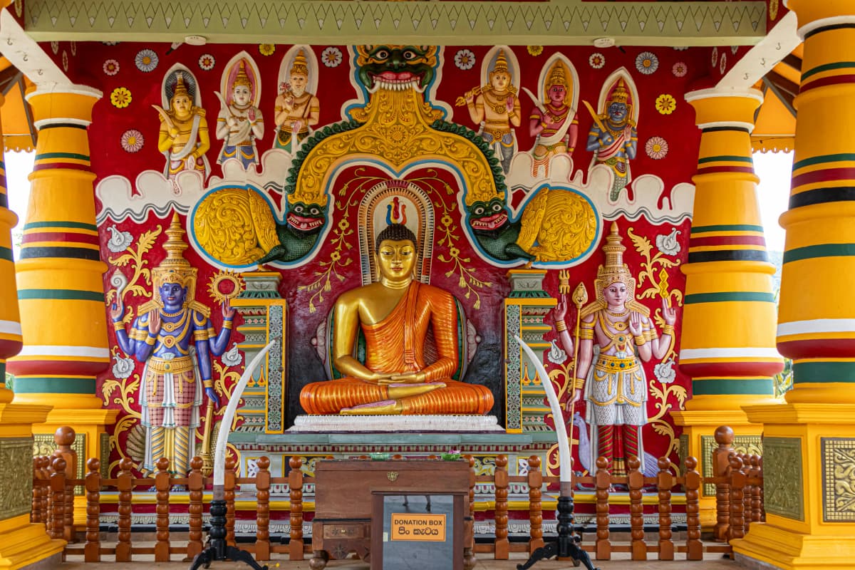  Explore the timeless beauty of Srilanka for 7 nights and 08 days 