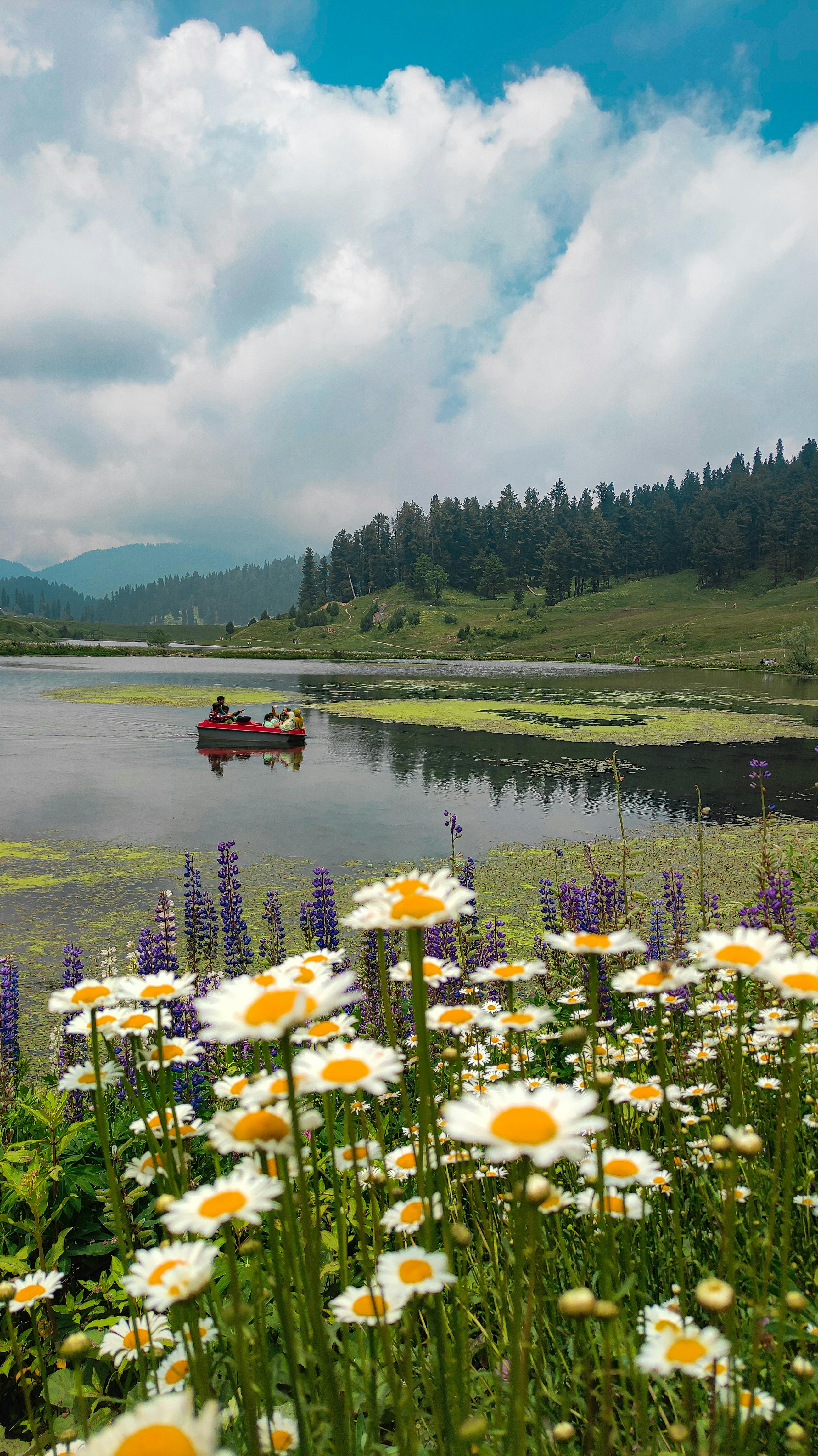 A Journey Through Nature's 