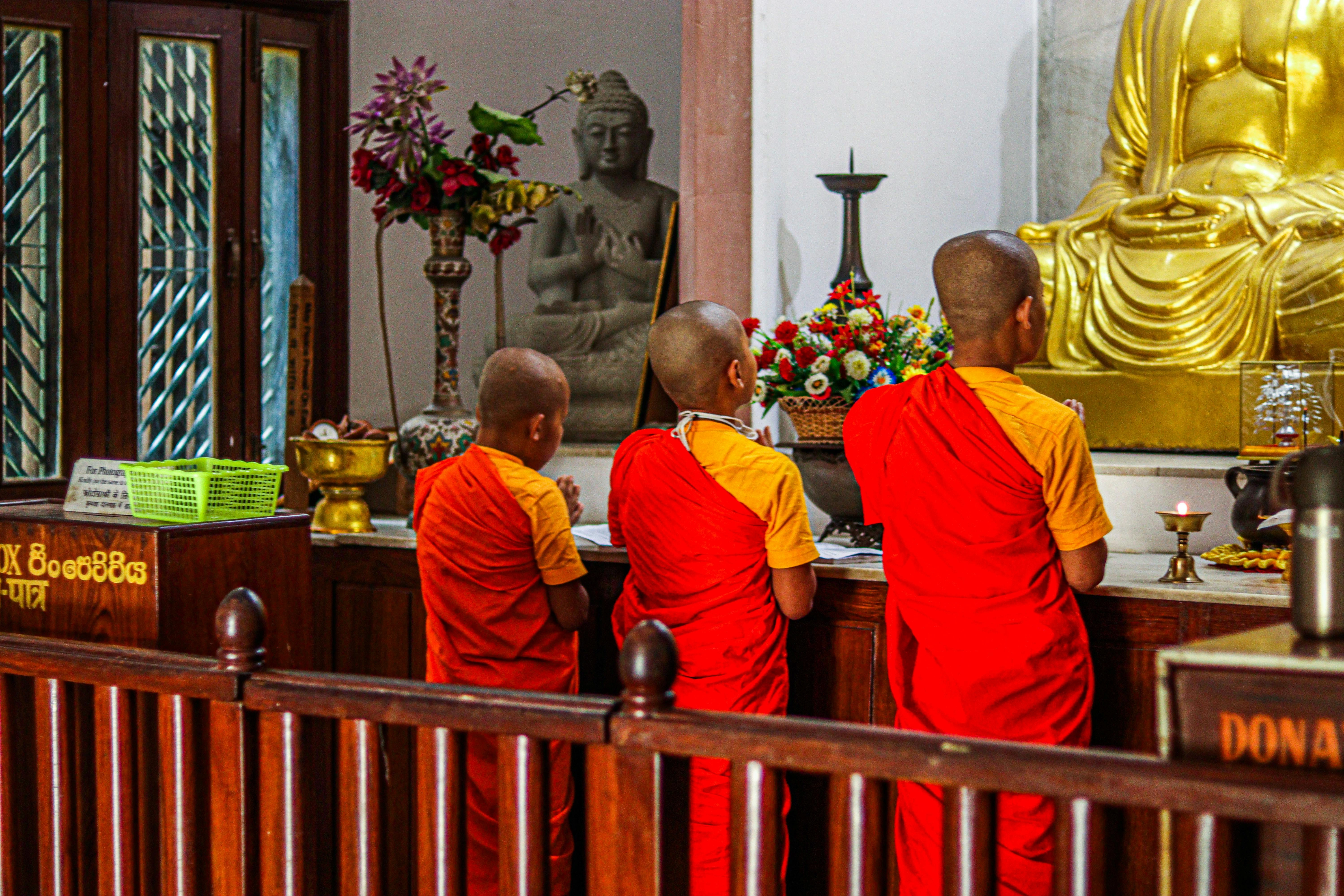 Explore the timeless beauty of Srilanka for 7 nights and 08 days 